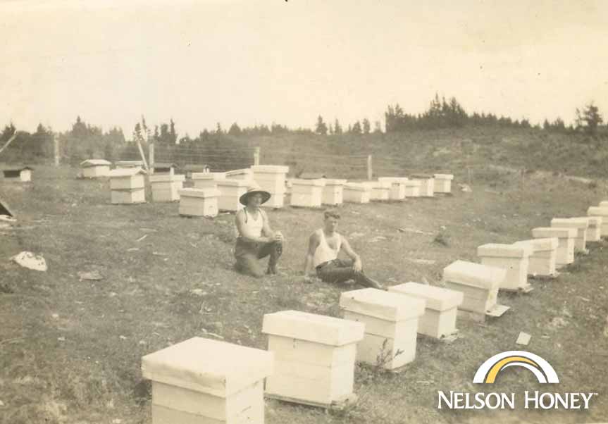 About Nelson Honey