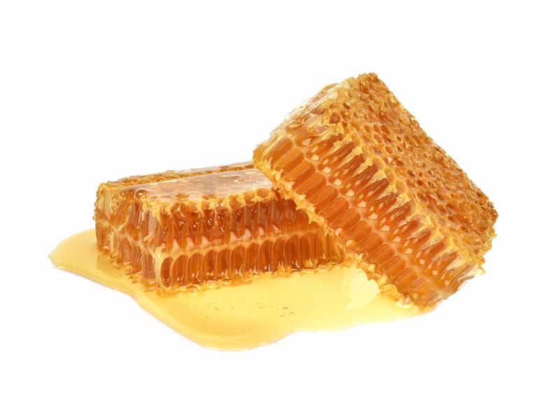 Honey
