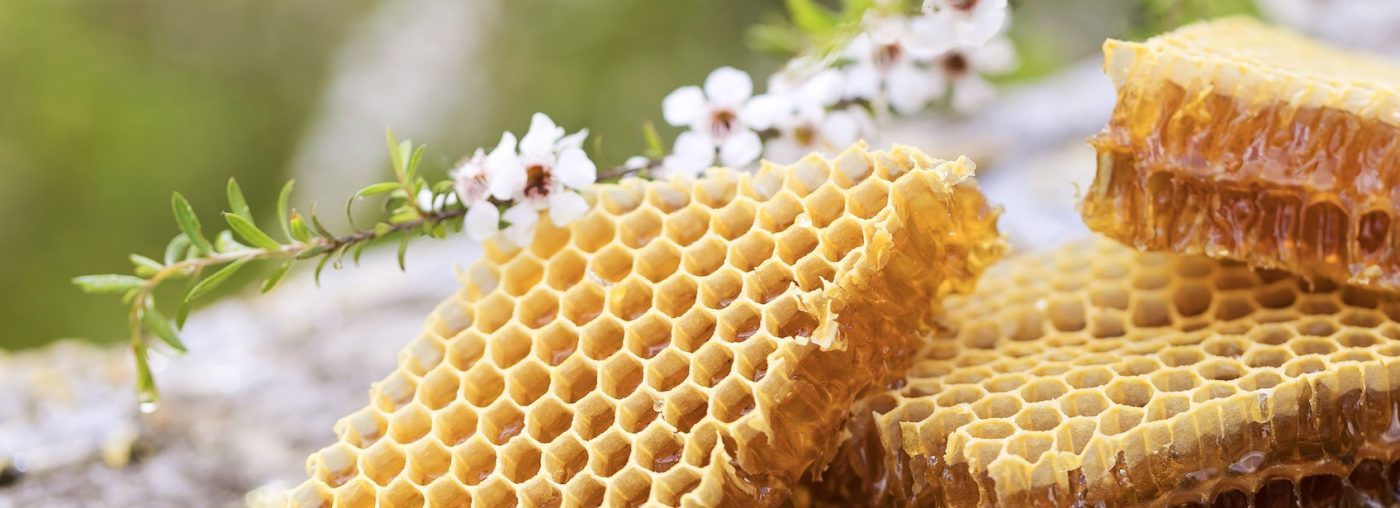 Testing Manuka Honey